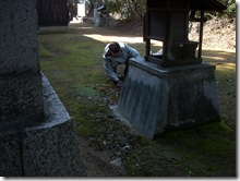 DSCN0379