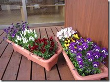 clip_image002