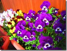 clip_image004