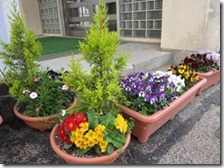 clip_image006