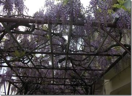 clip_image004