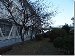 PC210132