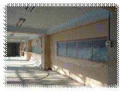 1001.jpg