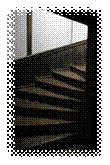 1001.jpg