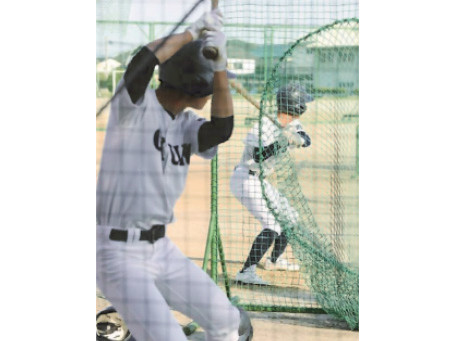 野球部の活動写真