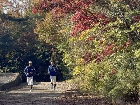野球部の活動写真