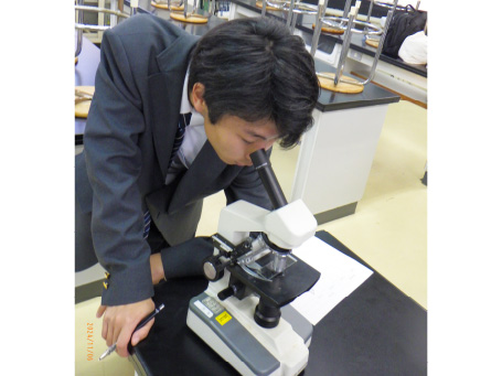 科学同好会の活動写真