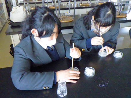 科学同好会の活動写真