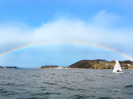 ヨット部の活動写真