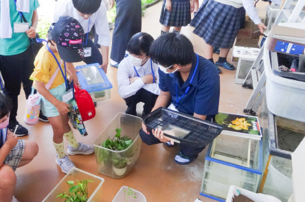 理科実験体験会